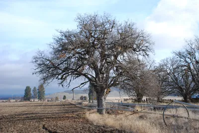 DSC_0022 (Large).JPG